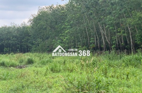 BÁN ĐẤT MẶT TIỀN ĐH.244 – HƠN 1HA CÓ THỔ CƯ – VỊ TRÍ ĐẸP TẠI TÂN CHÂU, TÂY NINH – GIÁ 12 TỶ