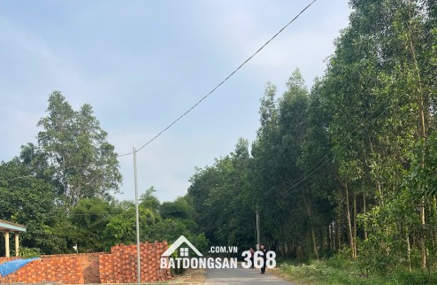 Bán 115m2 đất ở xã An Viễn, tỉnh Đồng Nai, 9,56 tr/m2