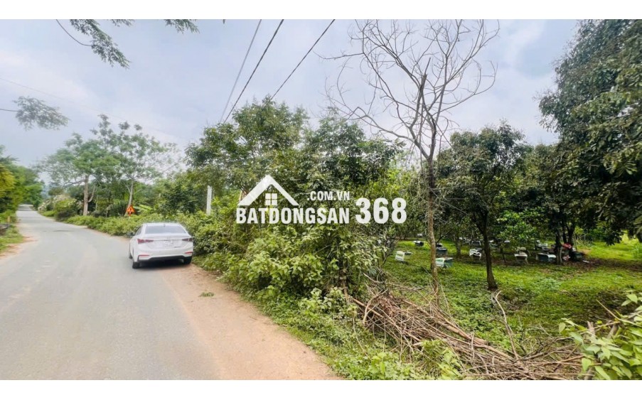  CHỈ HƠN 600K/M² – ĐẦU TƯ LÔ ĐẤT NGHỈ DƯỠNG 3.948M² SIÊU HOT! mặt đường QL21A