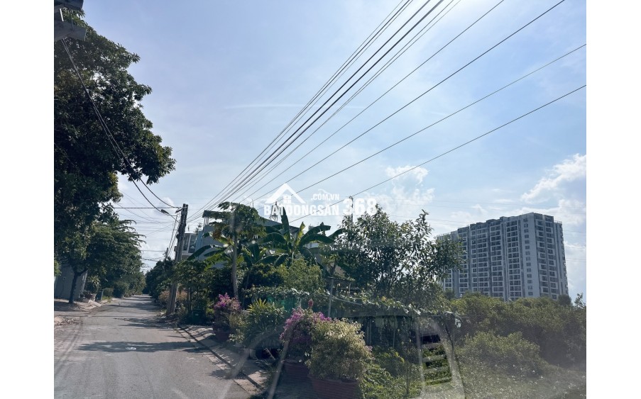 Bán Đất Biệt Thự 305M² – Đường 41 Gò Cát, Phú Hữu, TP. Thủ Đức