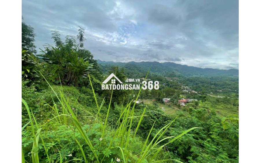 Bán nhà có kho bãi và vườn tại bản tà lèng xã thanh minh tp Điện Biên Phủ