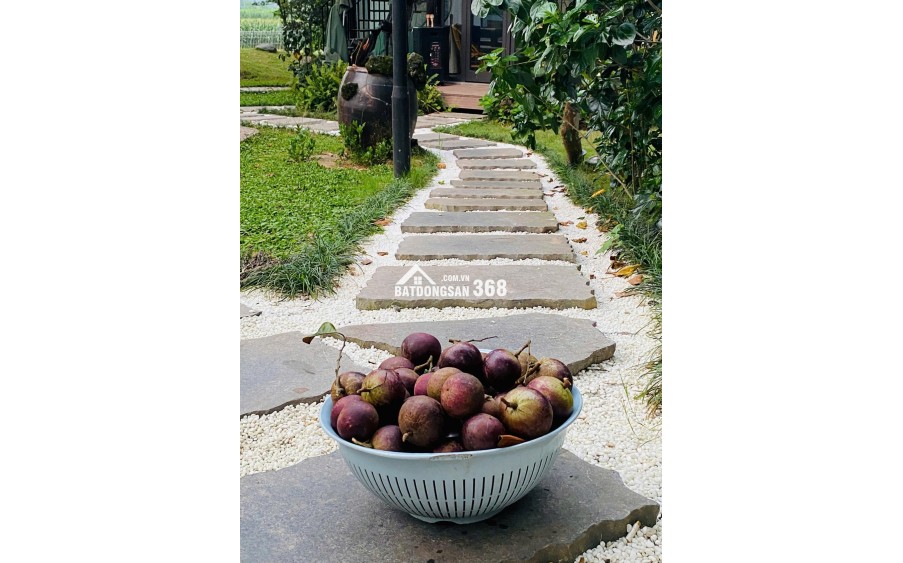 Chính chủ cần bán khu nghỉ dưỡng hơn 2000m² Ba Vì thiết kế hiện đại, view thoáng đẹp.