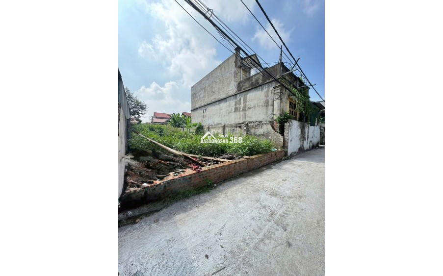 Siêu phẩm lô 48m² đất vàng Mai Lâm Đông Anh– sát Cầu Tứ Liên Nhỉnh 5 tỷ nhỏ