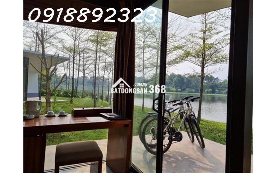 Tại Sao Nên Đầu Tư Hòa Bình Ngay Lúc Này?