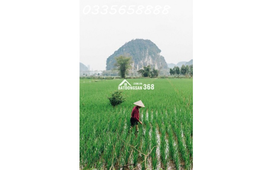 Review Du Lịch Hòa Bình: Trải Nghiệm 