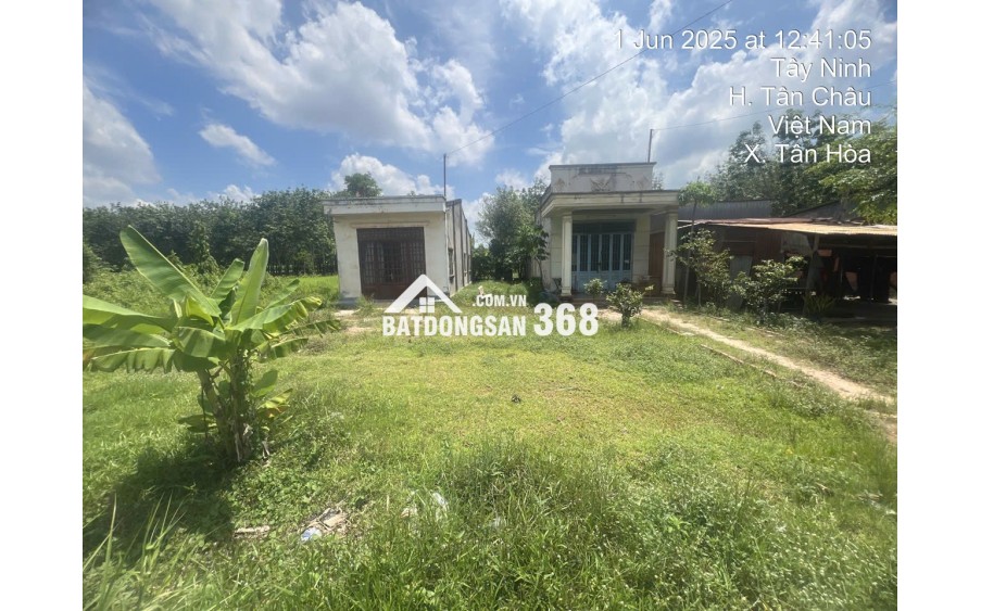 CẦN BÁN GẤP LÔ ĐẤT 1HA MẶT TIỀN ĐƯỜNG ĐH.244 – TÂN CHÂU, TÂY NINH – GIÁ TỐT CHO NHÀ ĐẦU TƯ