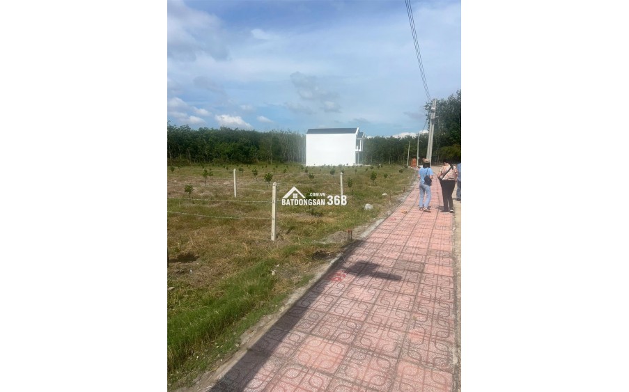 Bán Đất Phú Giáo Bình Dương 250m2, 100m2 thổ cư, đầu tư chỉ từ 250 triệu