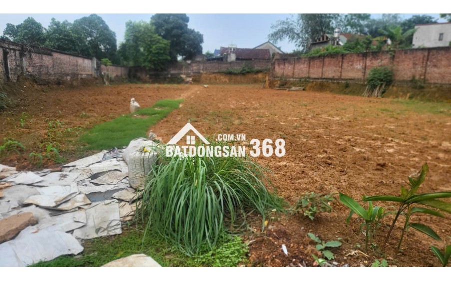 Chính chủ bán 1154m2  đất đầu tư, đường Lạc Hồng, Thì trấn Lâm Thao, Phú Thọ