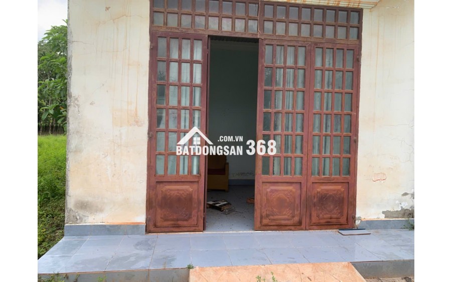 Bán Đất Lớn 1HA tại Tây Ninh - Đất Thổ Cư Kết Hợp Cây Lâu Năm!
