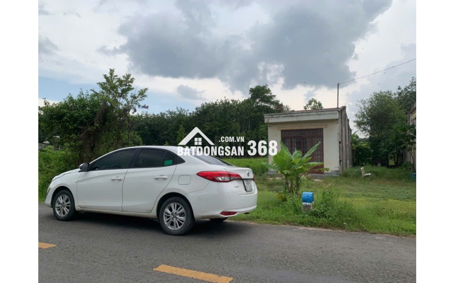 Bán Đất Lớn 1HA tại Tây Ninh - Đất Thổ Cư Kết Hợp Cây Lâu Năm!