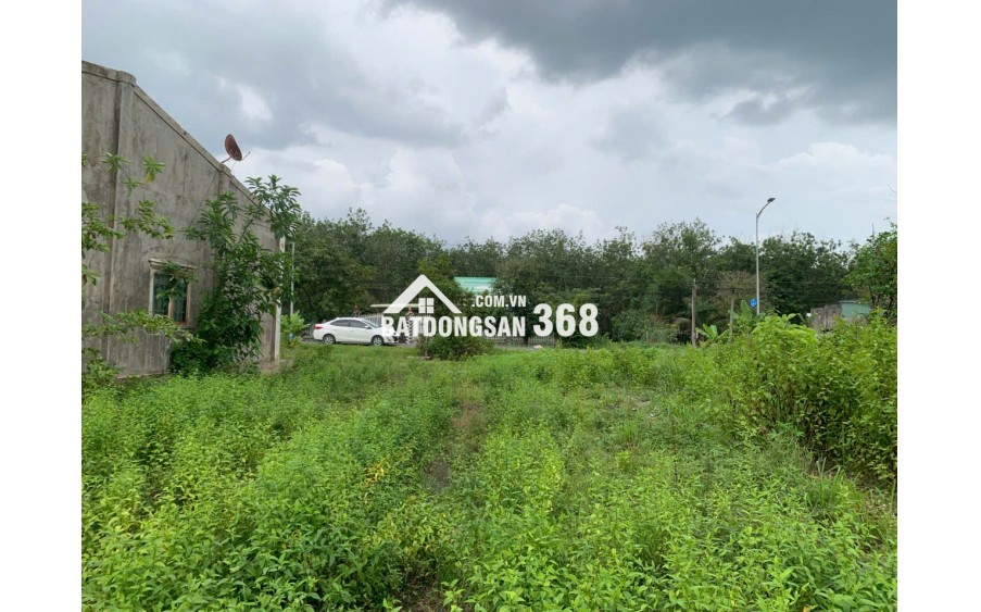 Bán Đất Lớn 1HA tại Tây Ninh - Đất Thổ Cư Kết Hợp Cây Lâu Năm!