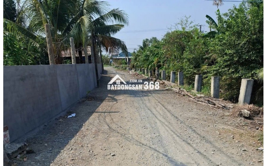 Chính chủ bán miếng đất tại Xã Phước Vân, Huyện Cần Đước, Tỉnh Long An