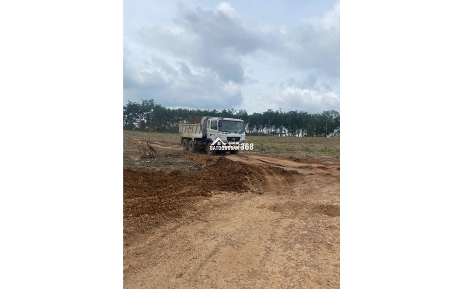 Cho thuê  4,5 đất trống tiện SXKD chế biến gỗ, nông công nghiệp xả thải tại Xã An Long, Tp.HCM giá 20tr bao giấy tờ, điện nước