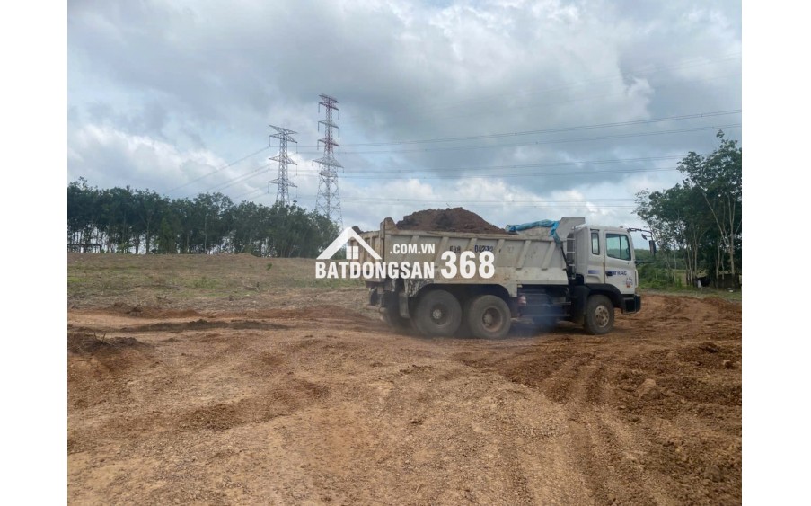 Cho thuê  4,5 đất trống tiện SXKD chế biến gỗ, nông công nghiệp xả thải tại Xã An Long, Tp.HCM giá 20tr bao giấy tờ, điện nước