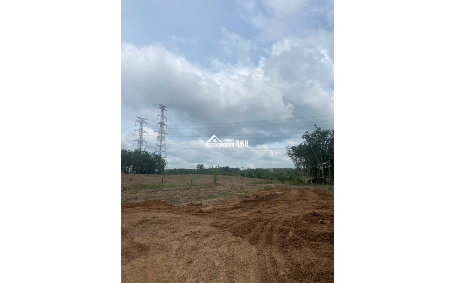 Cho thuê  4,5 đất trống tiện SXKD chế biến gỗ, nông công nghiệp xả thải tại Xã An Long, Tp.HCM giá 20tr bao giấy tờ, điện nước