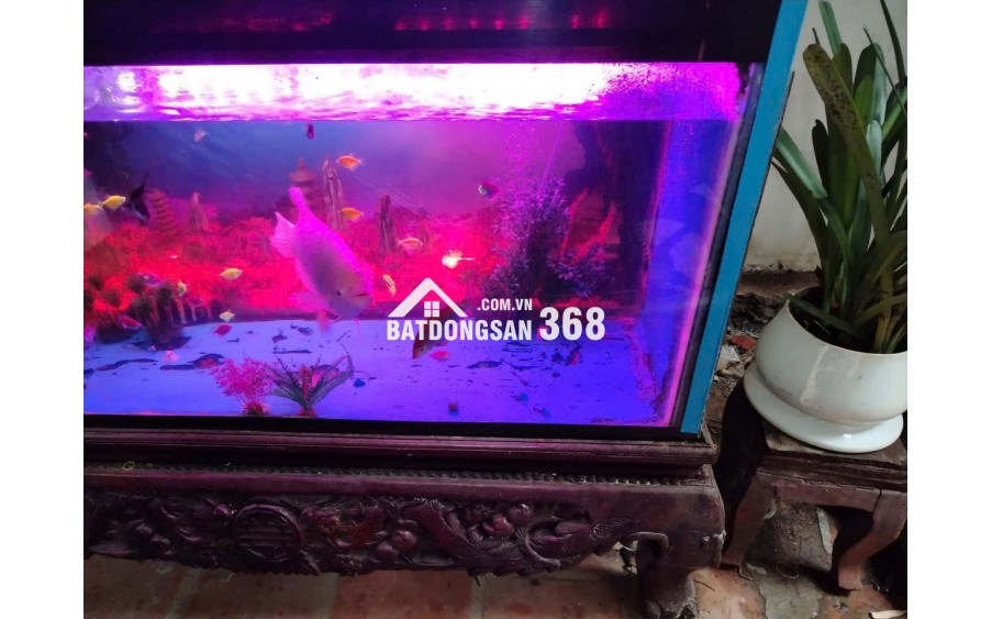 Bán Đất 68 M2 Tặng Nhà 3 Tầng Mặt Tiền 5,2M Tại Tây_Mỗ Nam_Từ_Liêm Giá Chỉ 8,6 Tỷ Có 2 Lối OTO Vào Nhà