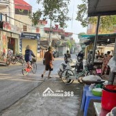 Cơ hội đầu tư cực tốt! Chính chủ bán lô đất 53m² full thổ cư tại Mai Lâm Đông Anh