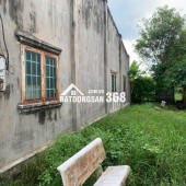 Bán Đất Lớn 1HA tại Tây Ninh - Đất Thổ Cư Kết Hợp Cây Lâu Năm!
