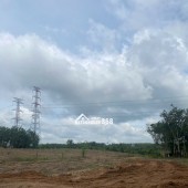 Cho thuê  4,5 đất trống tiện SXKD chế biến gỗ, nông công nghiệp xả thải tại Xã An Long, Tp.HCM giá 20tr bao giấy tờ, điện nước