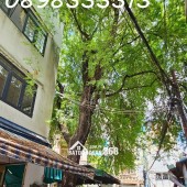 Chính chủ bán nhà 29/19 Bùi Thị Xuân, P2, Quận Tân Bình 2,1 tỷ, 3 tầng hẻm xe hơi sạch sẽ,