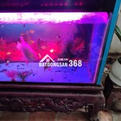 Bán Đất 68 M2 Tặng Nhà 3 Tầng Mặt Tiền 5,2M Tại Tây_Mỗ Nam_Từ_Liêm Giá Chỉ 8,6 Tỷ Có 2 Lối OTO Vào Nhà