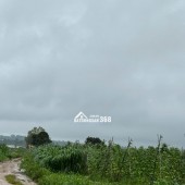 Đất ở, đất trồng cây lâu năm