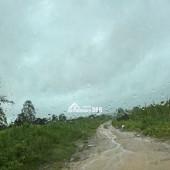 Đất thổ cư