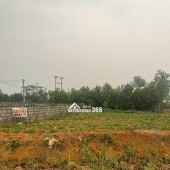 Đón đầu Sóng Đầu Tư: Đất Nền Sổ Hồng Thôn 6 Xuân Sinh - Thọ Xuân, Mặt Tiền Đường Mới, Gần Sân Bay!