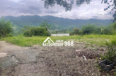 Bán nhà có kho bãi và vườn tại bản tà lèng xã thanh minh tp Điện Biên Phủ