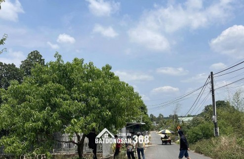 Lô đất đẹp Bình Minh Trảng Bom – 185.4m² – Giá đầu tư chỉ 1.6 tỷ