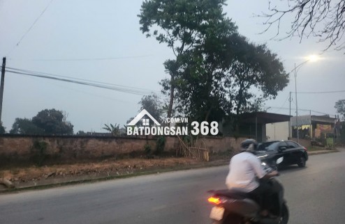 Chính chủ bán 1154m2  đất đầu tư, đường Lạc Hồng, Thì trấn Lâm Thao, Phú Thọ