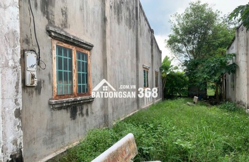 Bán Đất Lớn 1HA tại Tây Ninh - Đất Thổ Cư Kết Hợp Cây Lâu Năm!
