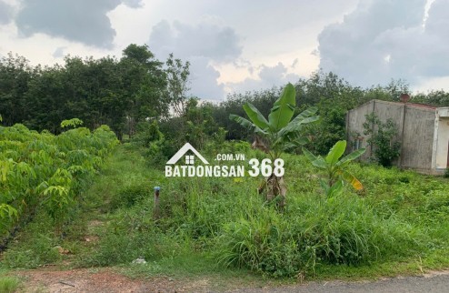 Cơ Hội Vàng! Sở Hữu Hơn 1 Hecta Đất Đa Năng Tại Tân Châu, Tây Ninh