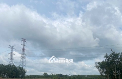 Cho thuê  4,5 đất trống tiện SXKD chế biến gỗ, nông công nghiệp xả thải tại Xã An Long, Tp.HCM giá 20tr bao giấy tờ, điện nước