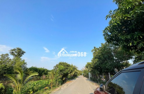 Bán Đất Chính Chủ 175m2 Giá 350 Triệu, Sổ Riêng