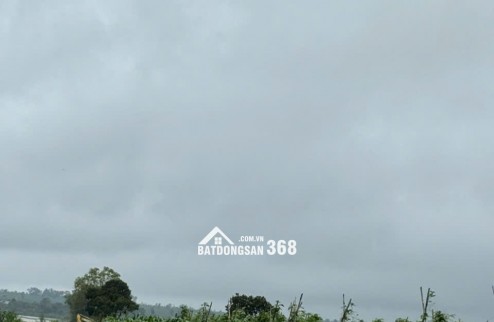 Đất ở, đất trồng cây lâu năm