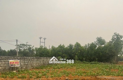 Đón đầu Sóng Đầu Tư: Đất Nền Sổ Hồng Thôn 6 Xuân Sinh - Thọ Xuân, Mặt Tiền Đường Mới, Gần Sân Bay!