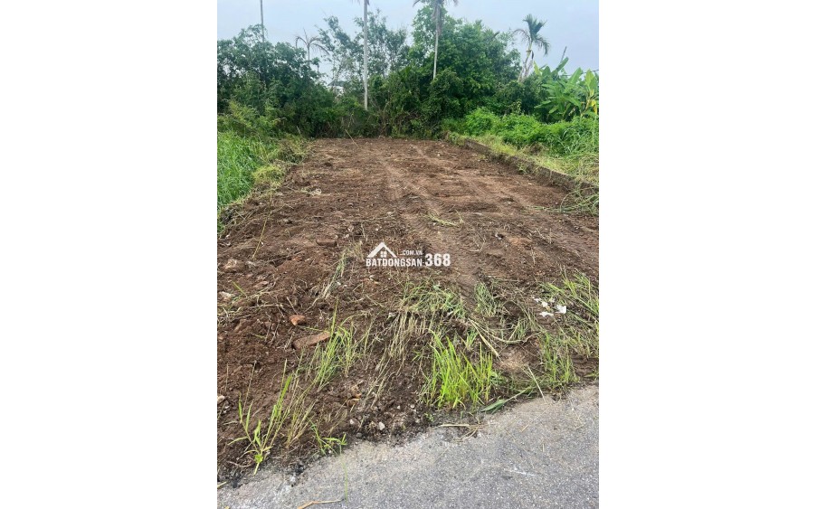 Bán đất mặt đường Nhà Mạc, Hòa Nghĩa, Dương Kinh