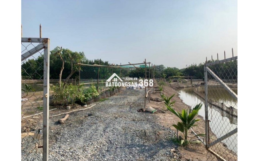 Bán lô đất thổ phân lô mặt tiền đê bao giá 7,5 tỷ