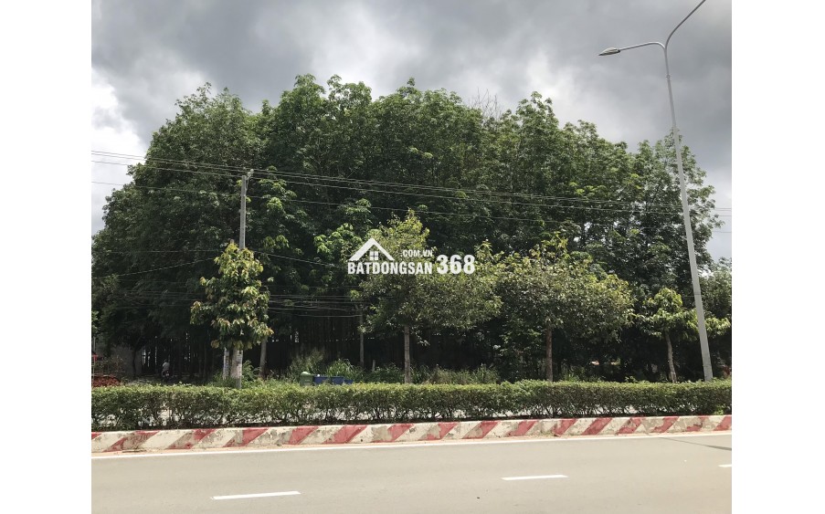 Đất 2 mặt tiền Hùng Vương 3855m2, có 300m2 thổ cư, p. Tây Nam, HCM (An Tây, Bến Cát, Bình Dương cũ)