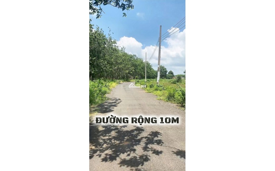 ĐẤT SUỐI XUYÊN MỘC CÓ THỔ CƯ