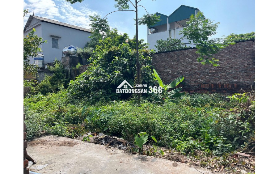 CHÍNH CHỦ BÁN ĐẤT XÃ THUẬN AN - HÀ NỘI, DIỆN TÍCH 45.5 M2, GIÁ 2.3 TỶ
