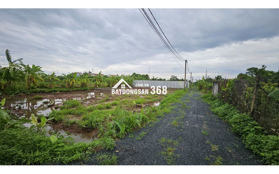 Bán đất Sài Sơn, Quốc Oai, SĐ 200m2, MT 5m, đường ô tô vào, sát đường 40m sắp mở