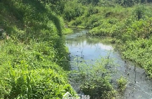 ĐẤT SUỐI XUYÊN MỘC CÓ THỔ CƯ
