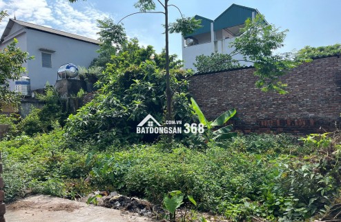 CHÍNH CHỦ BÁN ĐẤT XÃ THUẬN AN - HÀ NỘI, DIỆN TÍCH 45.5 M2, GIÁ 2.3 TỶ