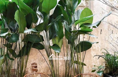 28 Triệu: thuê nguyên căn Quận 1- ĐIỆN BIÊN PHỦ CMT8- cao 5 tầng thông suốt có Lửng. VŨ 0933910039