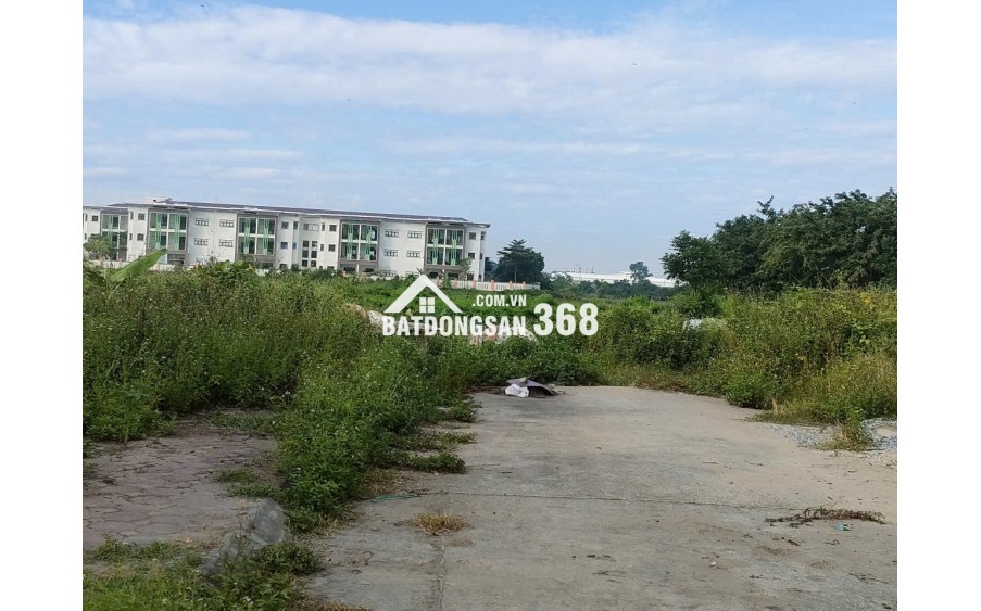 B.á.n đất đấu giá tổ 3 (Giai Lạc), xã Quang Minh, HN, DT80m, MT5m, vỉa hè, ôtô, g.i.á đầu tư 4.xtỷ, Lh 0869344682