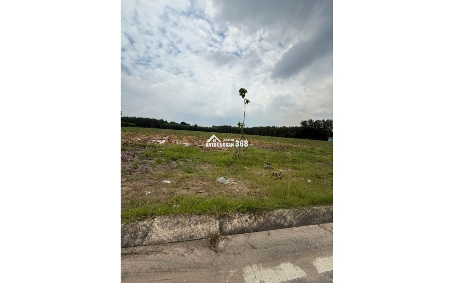 Bán đất mặt tiền Nguyễn Hữu Cảnh Nhơn Trạch Đồng Nai khu hành chính