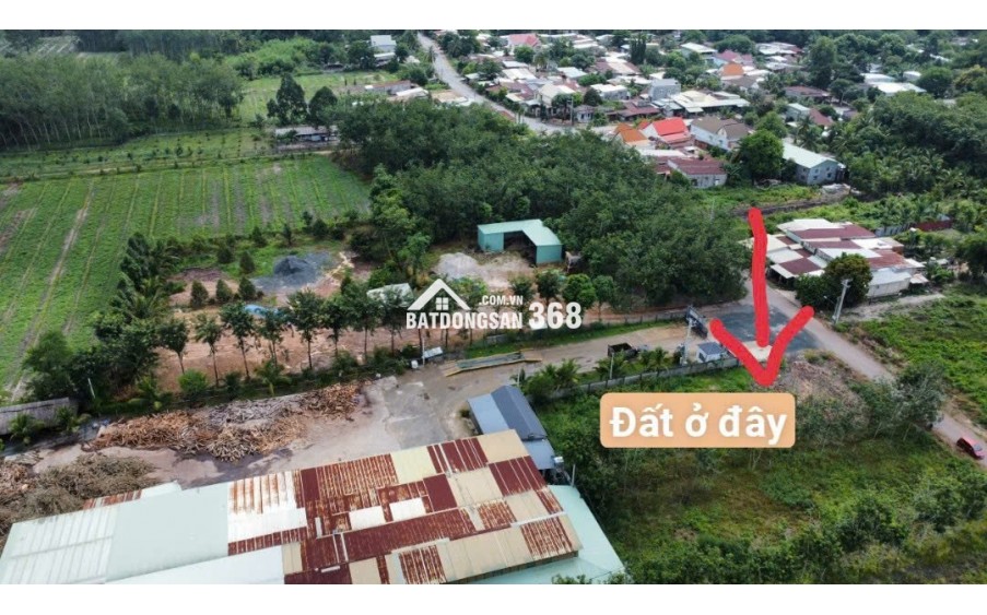 Bán Đất Minh Hoà Dầu Tiếng liền kề dân cư 600m2 giá chỉ 300tr
