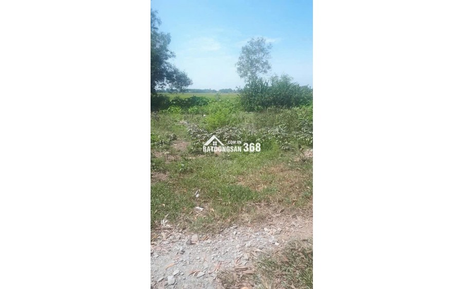 CHÍNH CHỦ CẦN BÁN LÔ ĐẤT THỔ CƯ 208m2 ĐỨC HÒA, LONG AN, ĐÃ CÓ SỔ